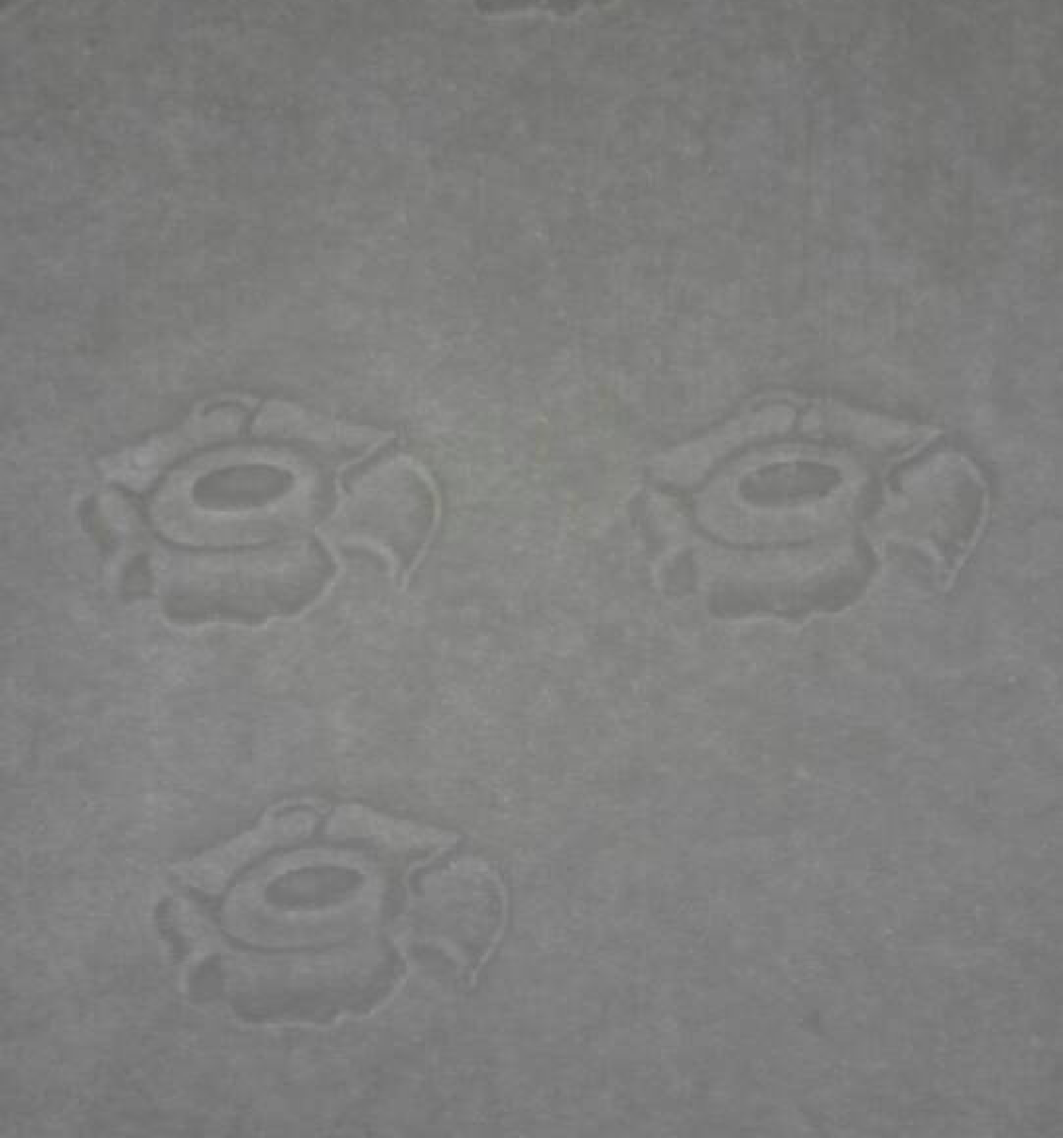 Security Watermark Paper