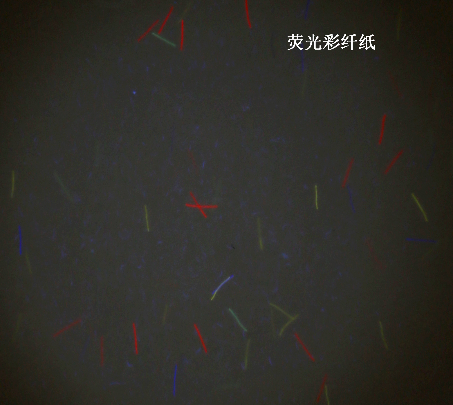Security Paper with fibers